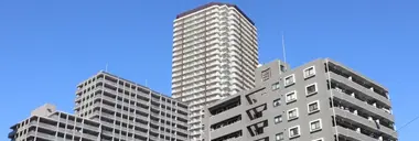ogpImage